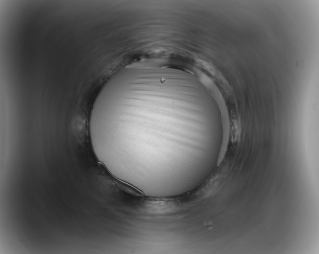 X0000088160521200705291914