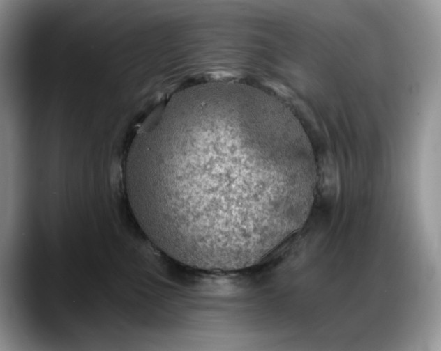 X0000088160523200705291914