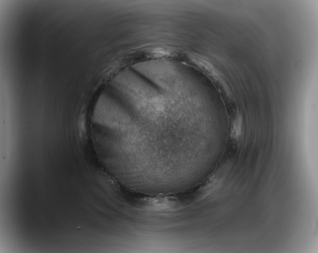 X0000088160524200705291914