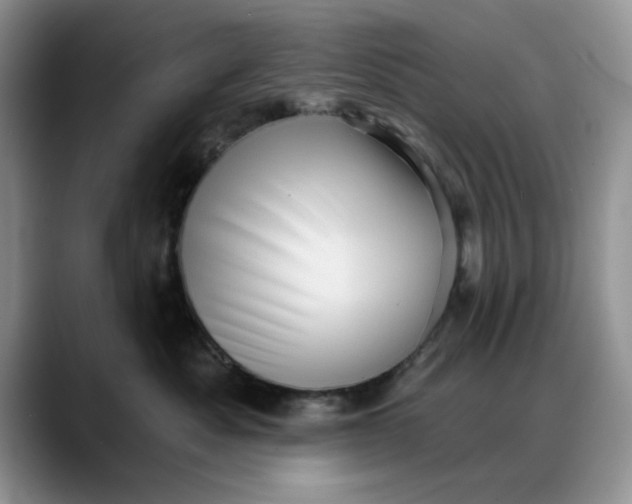 X0000088160525200705291914
