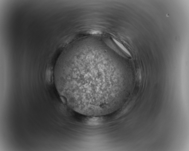 X0000088160527200705291914