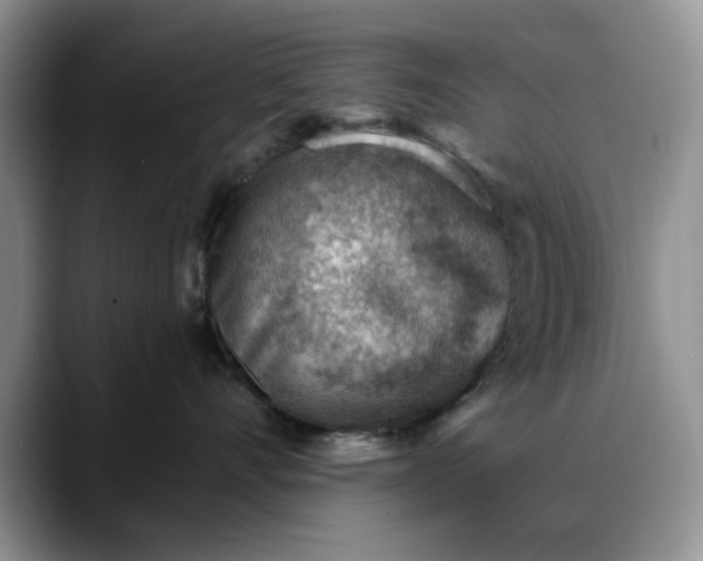 X0000088160528200705291914