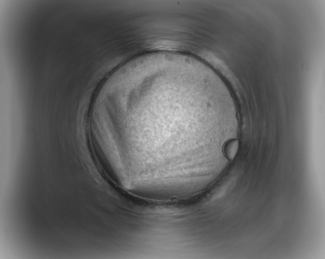 X0000088160529200705291913
