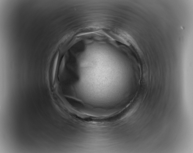 X0000088160530200705291913