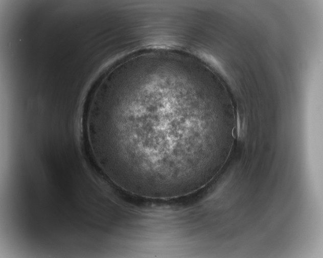 X0000088160531200705291913