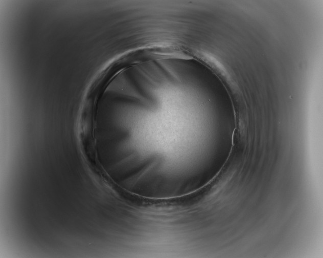 X0000088160532200705291913