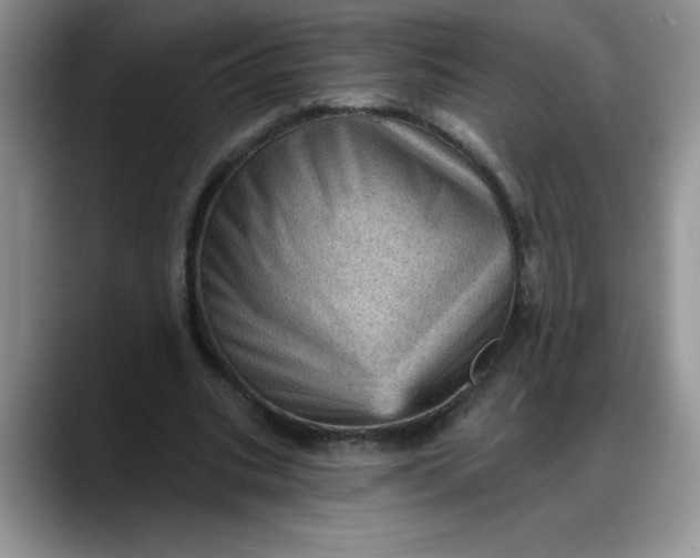 X0000088160535200705291913