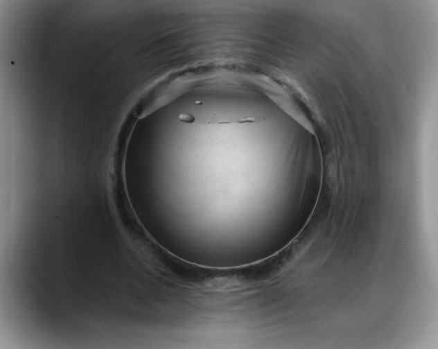 X0000088160536200705291913