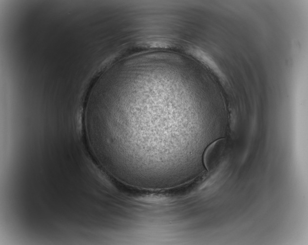 X0000088160537200705291913
