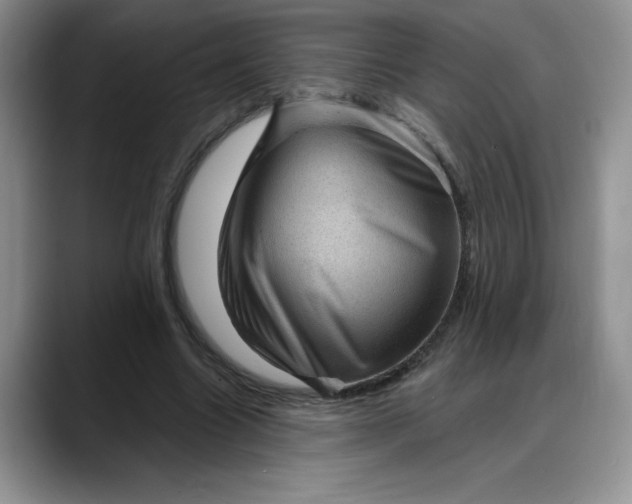 X0000088160538200705291913
