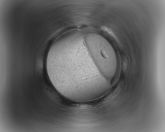 X0000088160539200705291913