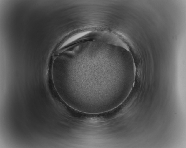 X0000088160540200705291913