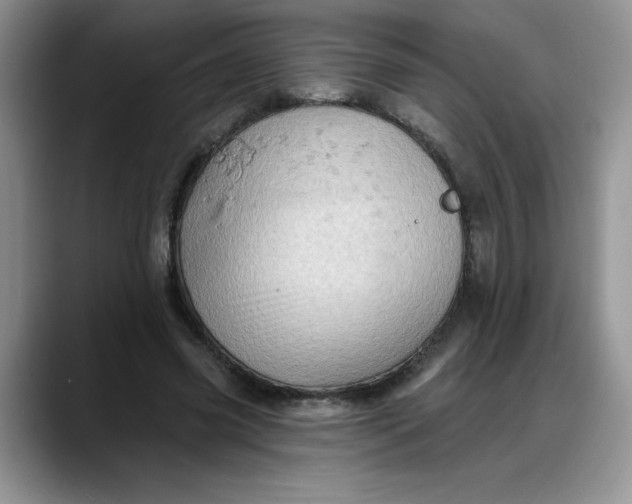 X0000088160541200705291913