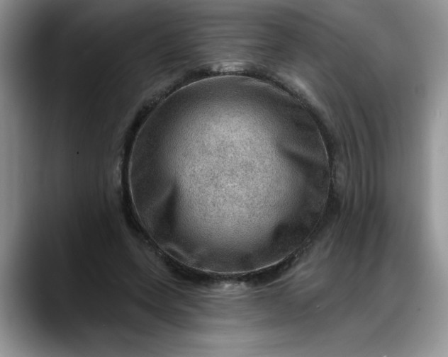 X0000088160543200705291913