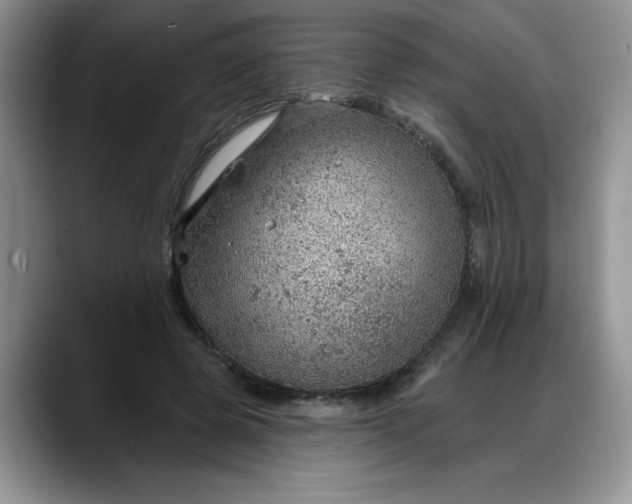 X0000088160545200705291913