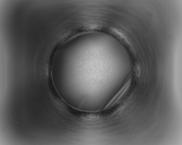X0000088160546200705291913