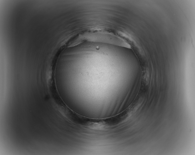 X0000088160548200705291913
