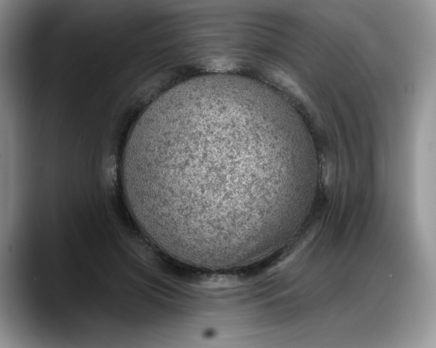 X0000088160549200705291913
