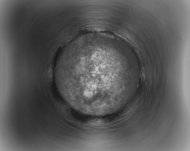 X0000088160551200705291913