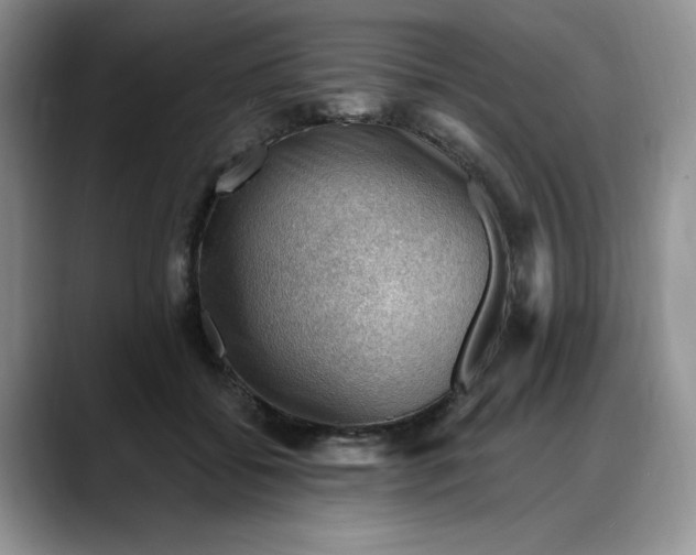 X0000088160556200705291914