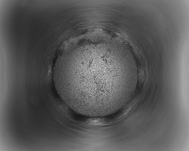 X0000088160557200705291914