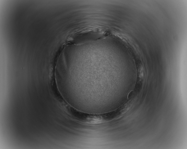 X0000088160559200705291914