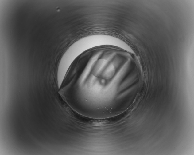 X0000088160560200705291914