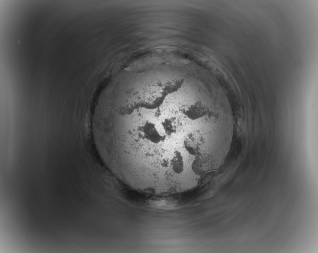 X0000088160561200705291914
