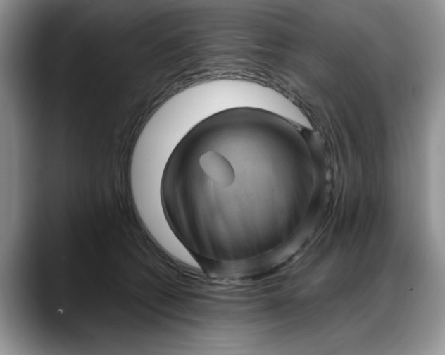 X0000088160562200705291914