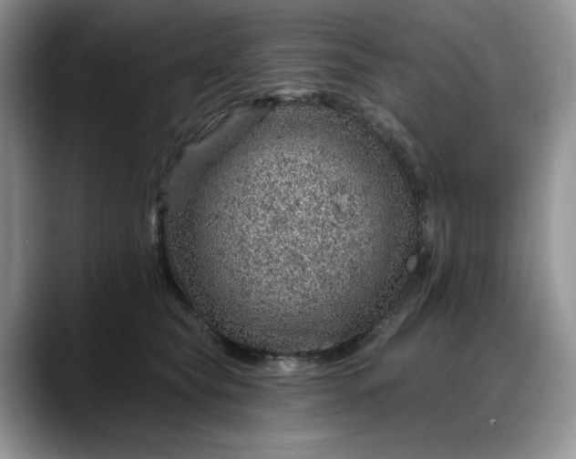 X0000088160565200705291914