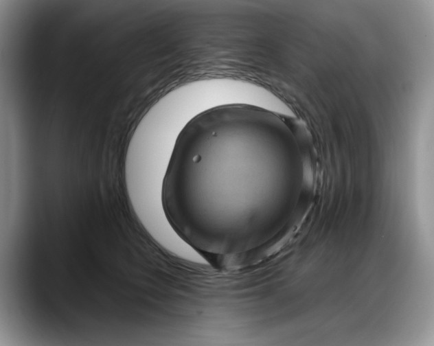 X0000088160566200705291914