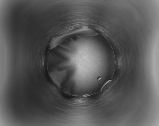 X0000088160567200705291914