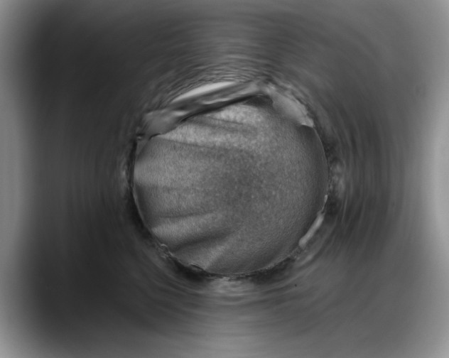X0000088160568200705291914