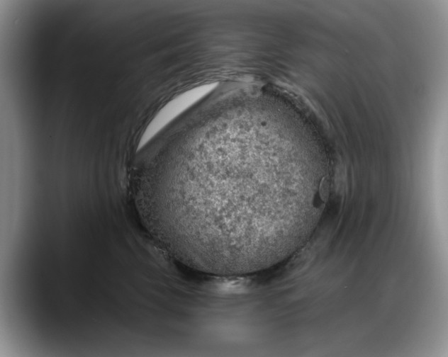 X0000088160569200705291914