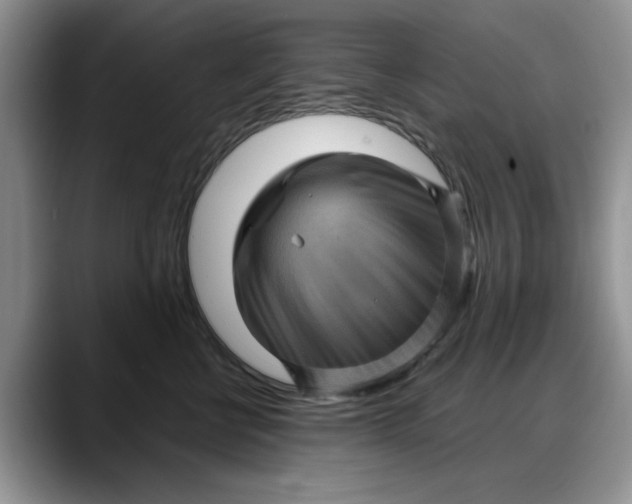 X0000088160570200705291914