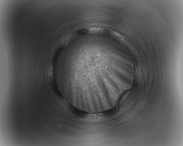 X0000088160571200705291914