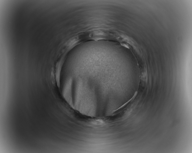 X0000088160572200705291914
