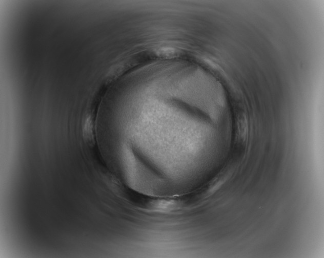 X0000088160575200705291914