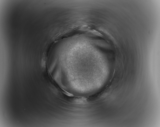 X0000088160576200705291914