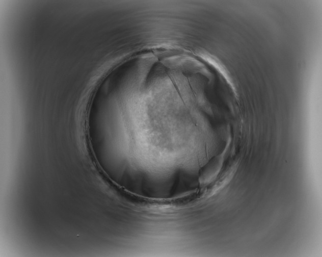 X0000088160577200705291913