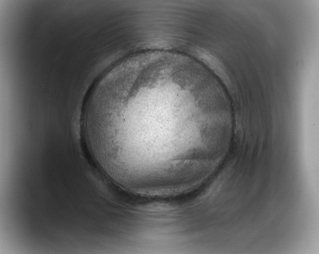 X0000088160578200705291913