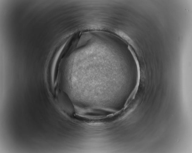 X0000088160581200705291913
