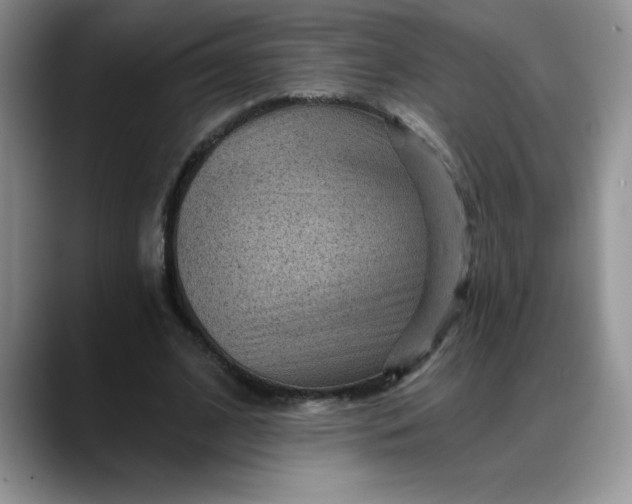 X0000088160584200705291913