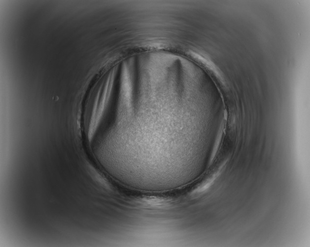 X0000088160585200705291913