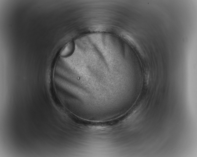 X0000088160586200705291913