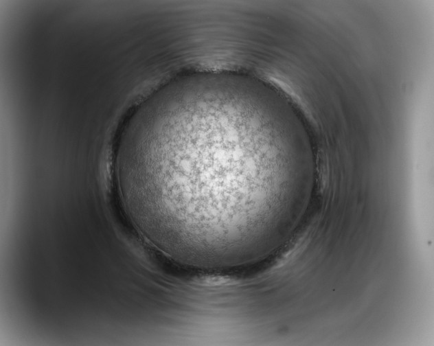 X0000088160590200705291913