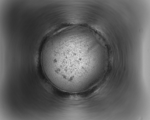 X0000088160591200705291913