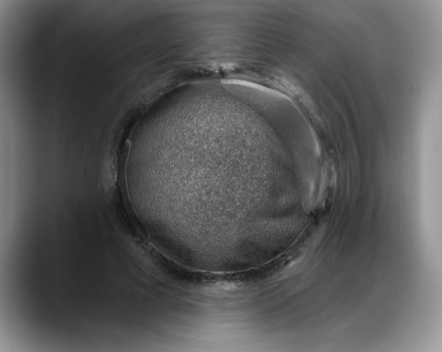 X0000088160593200705291913