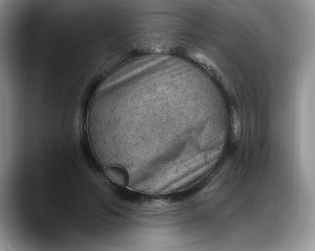X0000088160594200705291913