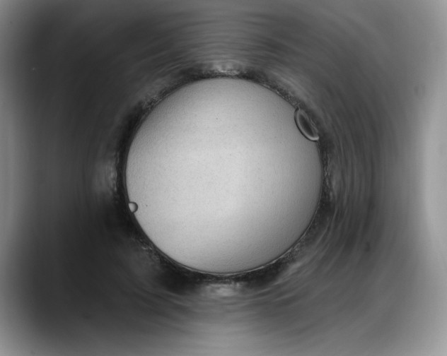 X0000088160595200705291913
